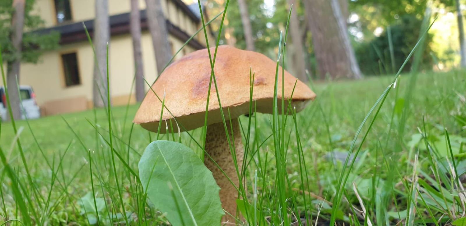 Villa Toskana Pogorzelica  Eksteriør billede